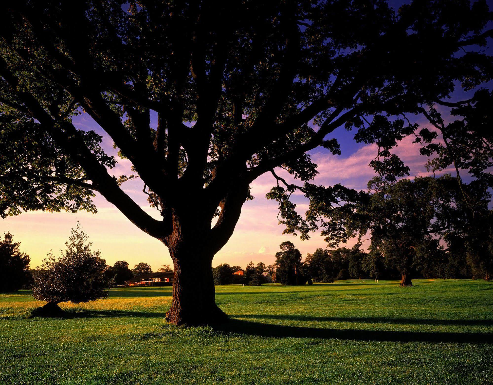 Meon Valley Hotel, Golf & Country Club Shedfield