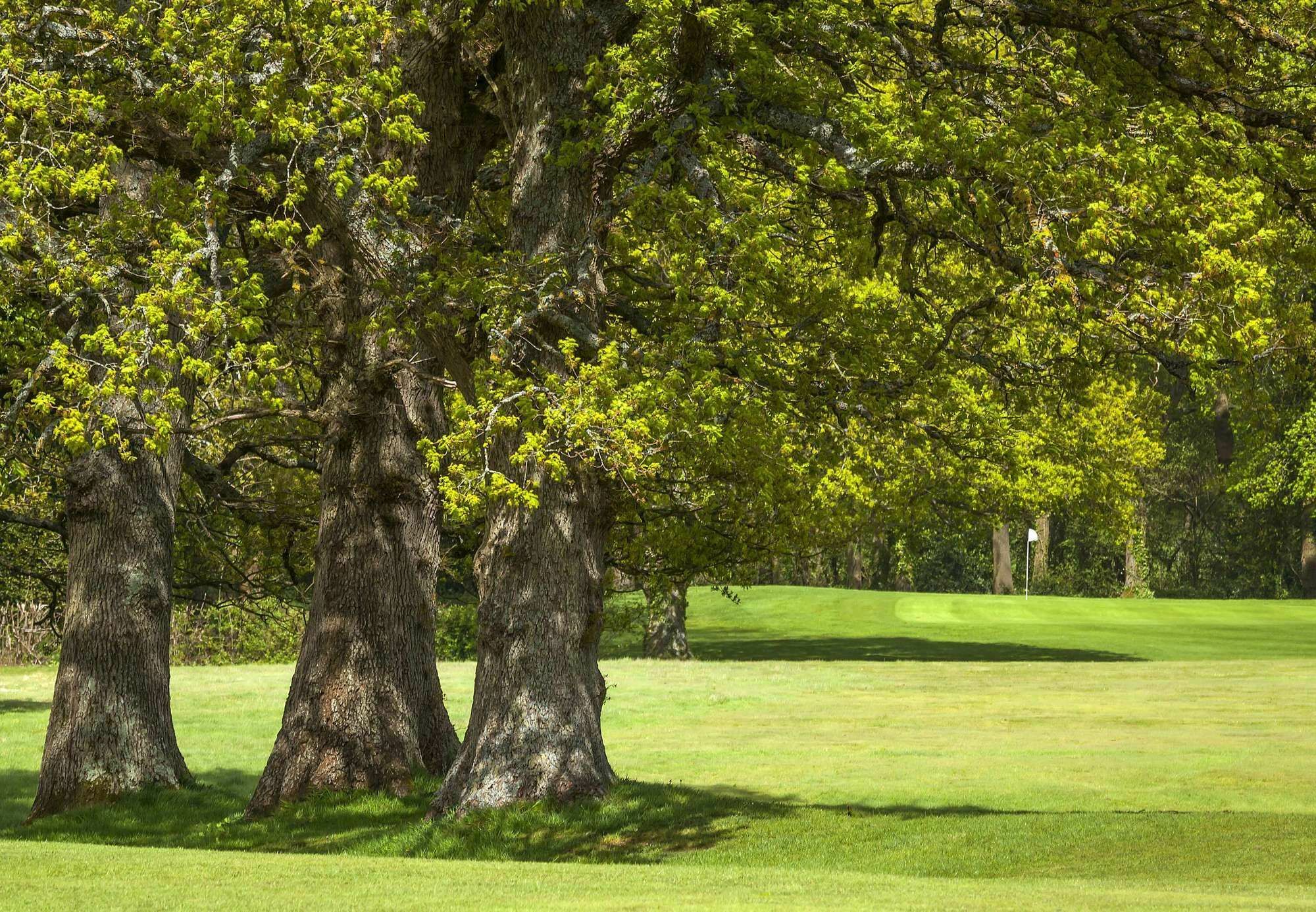 Meon Valley Hotel, Golf & Country Club 4*