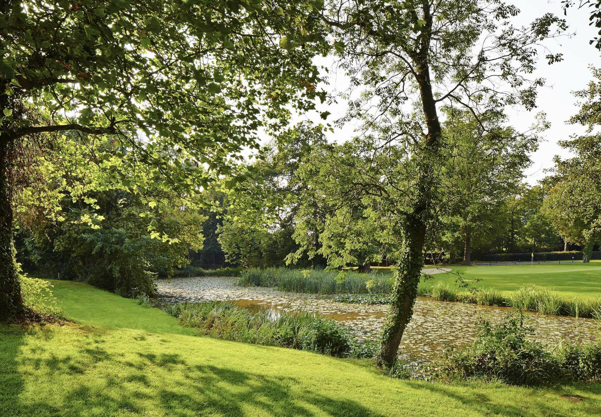 Meon Valley Hotel, Golf & Country Club Shedfield